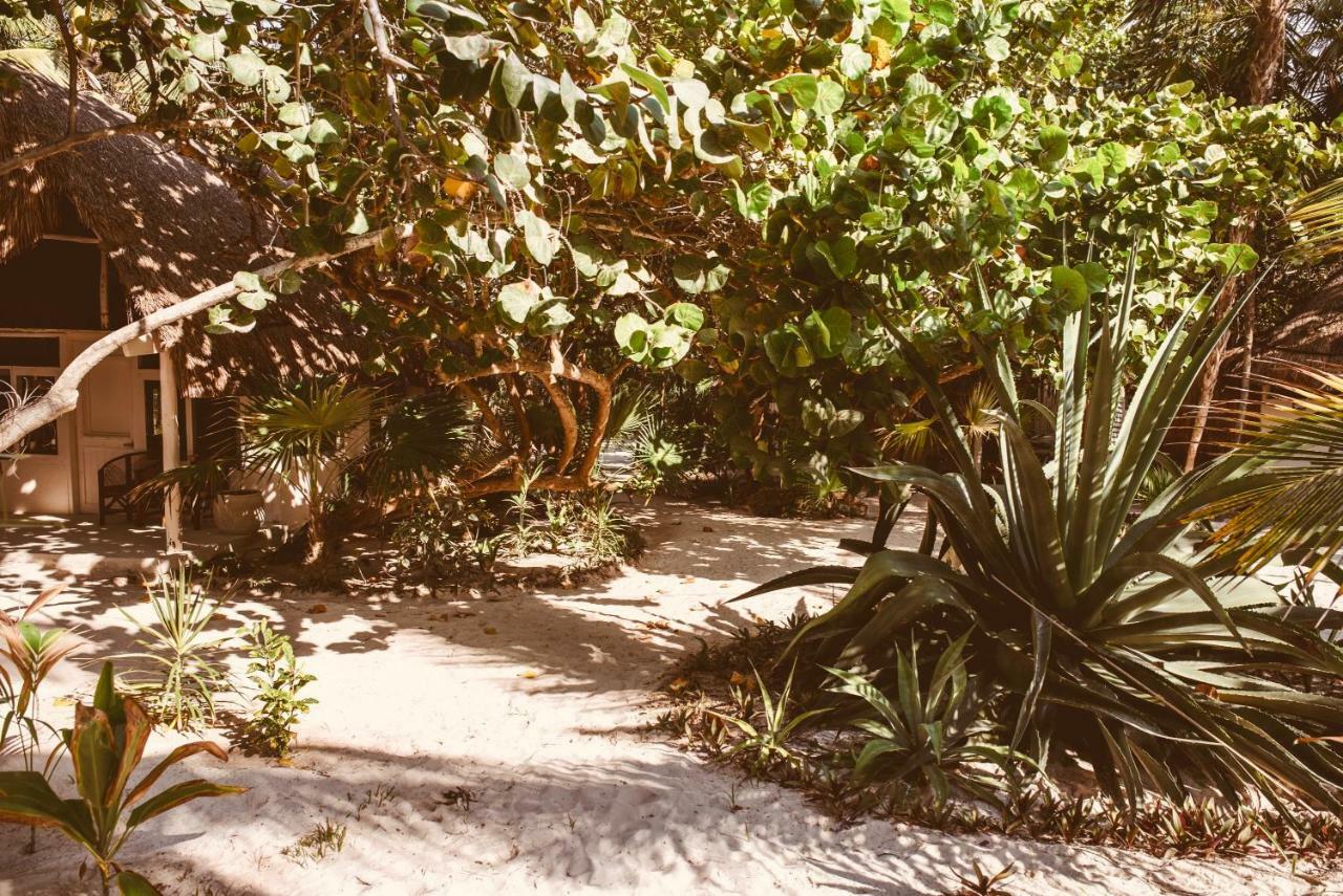 Esencial Tulum Hotel Eksteriør billede